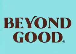 Beyond Good icon