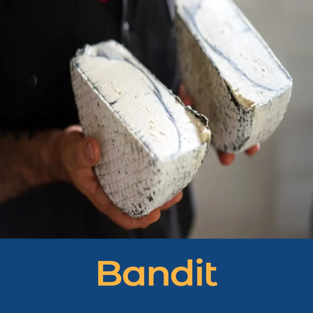 Bandit Ash Brie