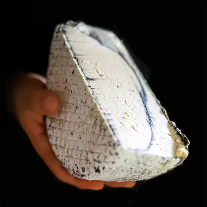 A hand holding a half wheel of cashew based vegan plant-based ash rind brie